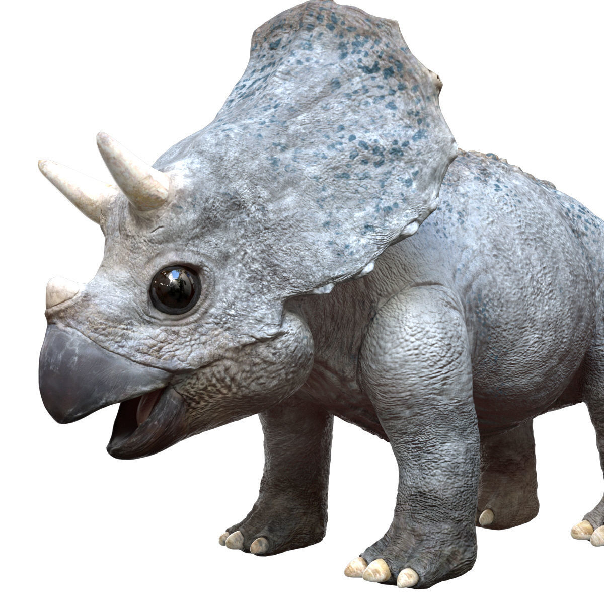 Triceratops Baby 3D Rigged model Low-poly 3D model_1