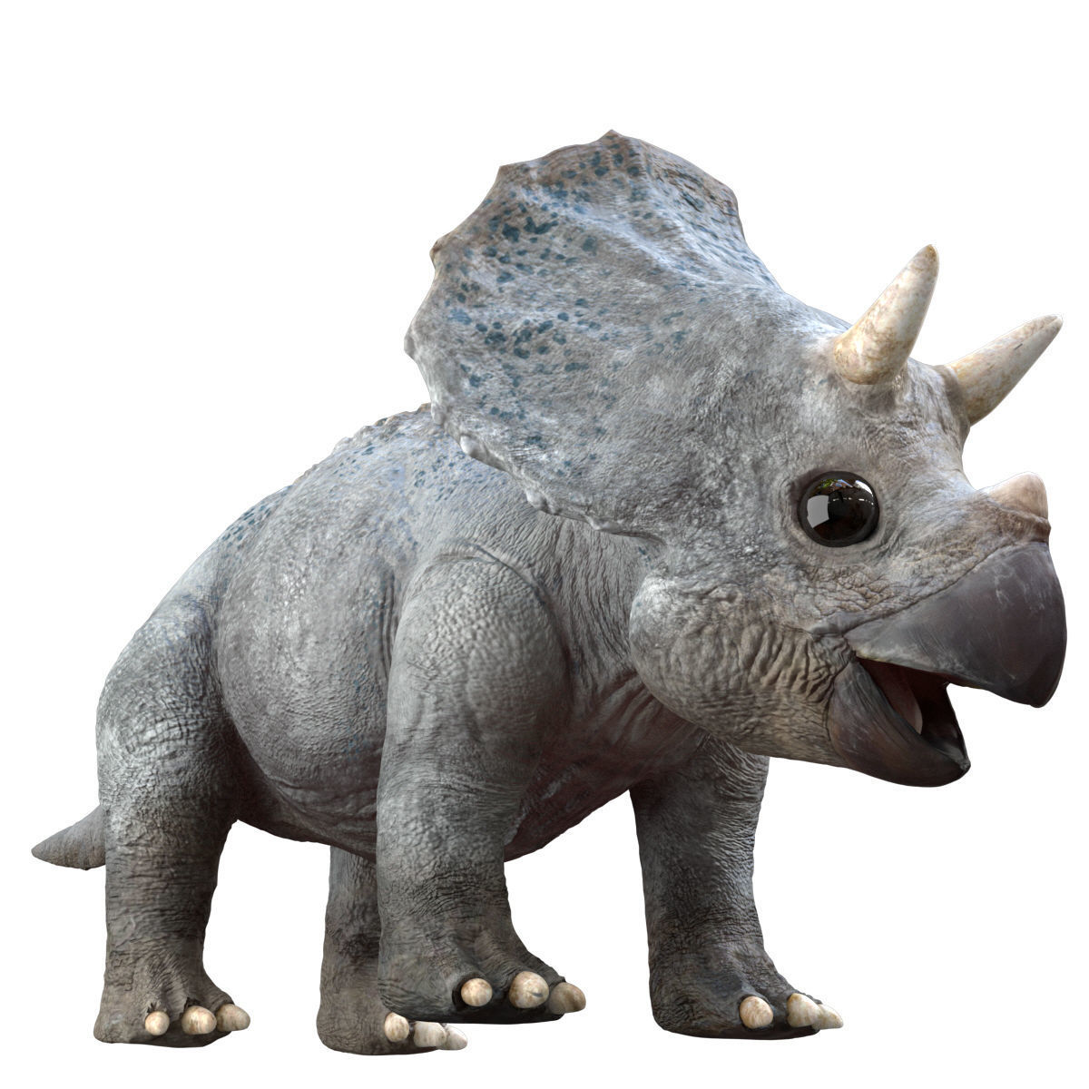Triceratops Baby 3D Rigged model Low-poly 3D model_4