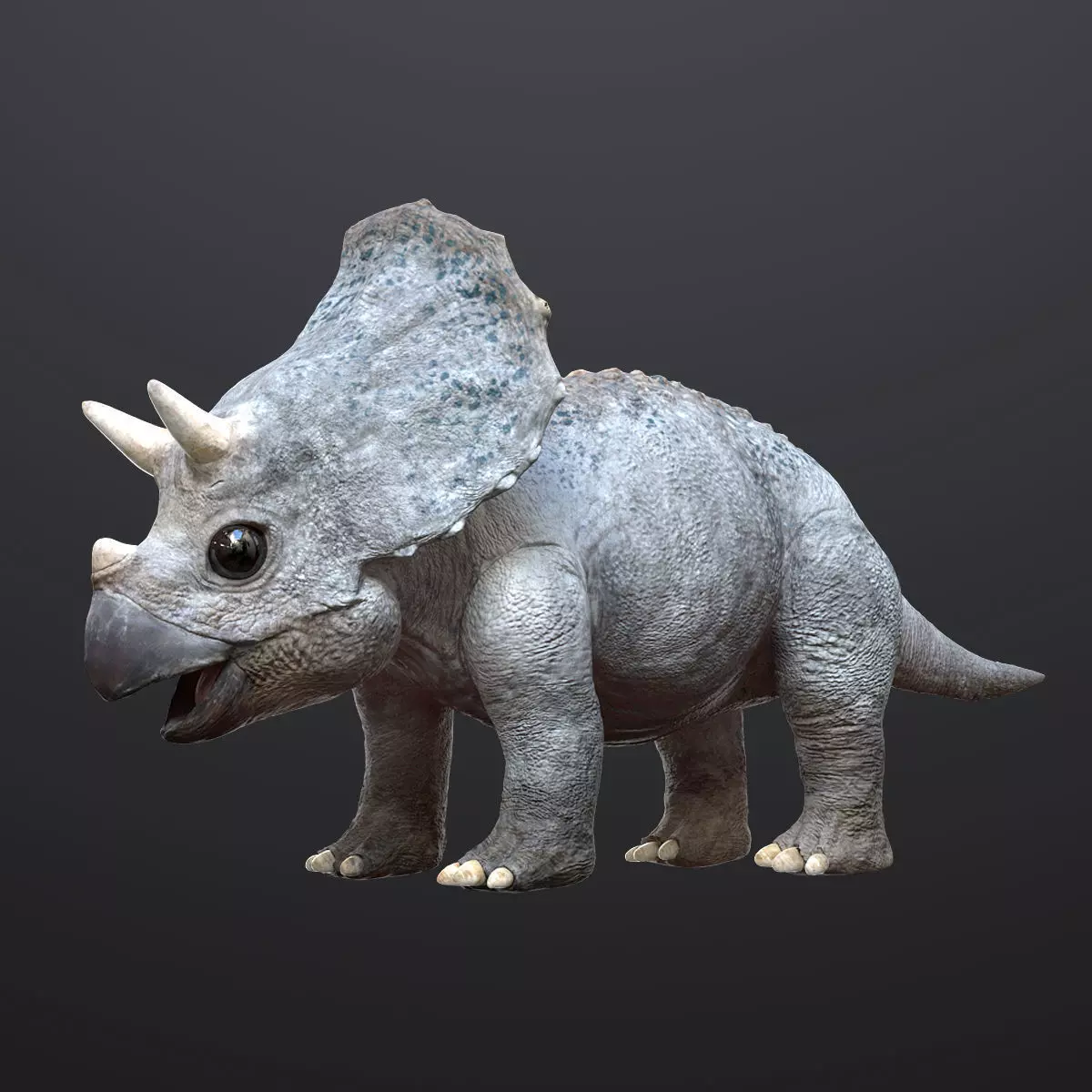 Triceratops Baby 3D Rigged model Low-poly 3D model_0