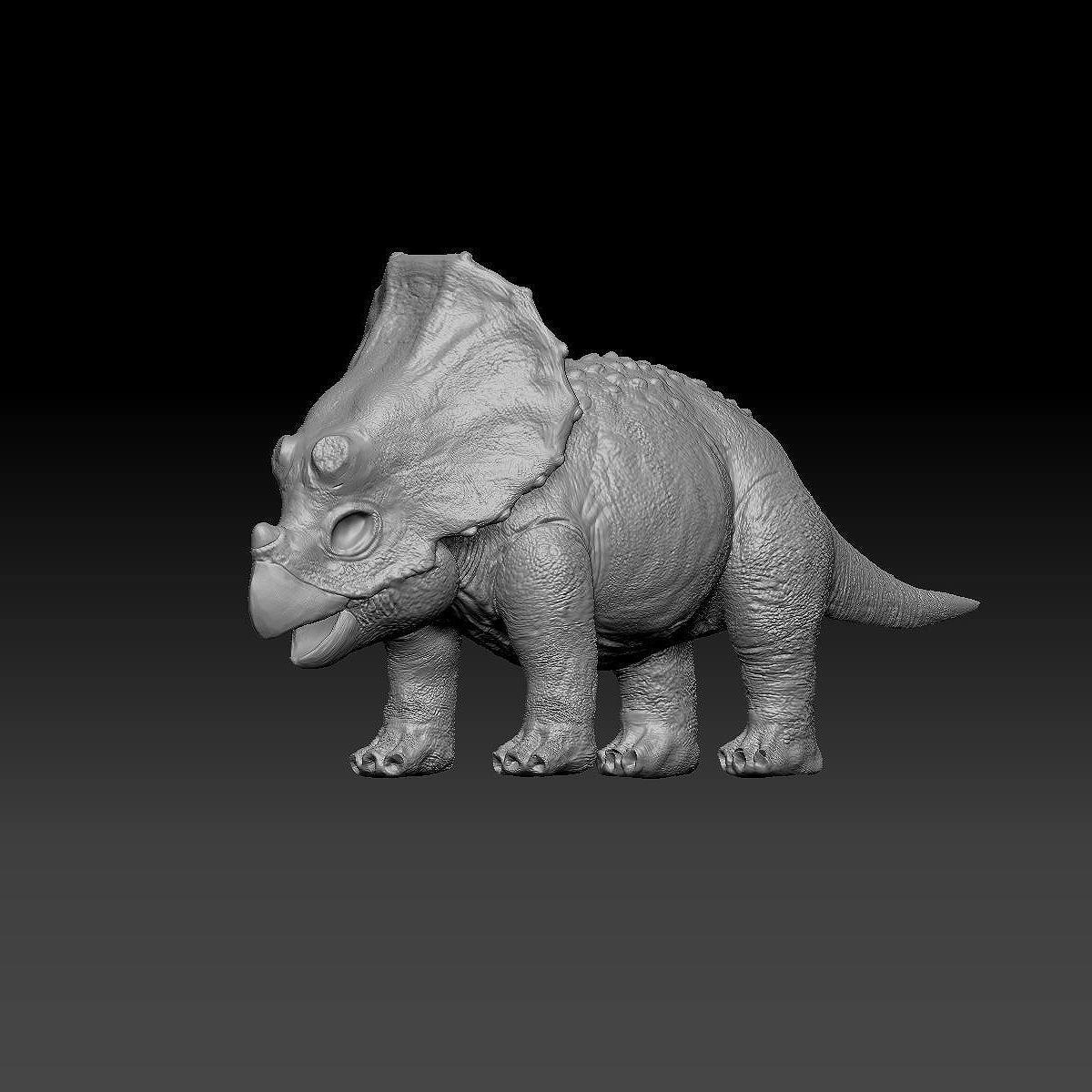 Triceratops Baby 3D Rigged model Low-poly 3D model_17