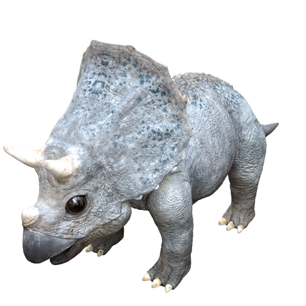 Triceratops Baby 3D Rigged model Low-poly 3D model_6