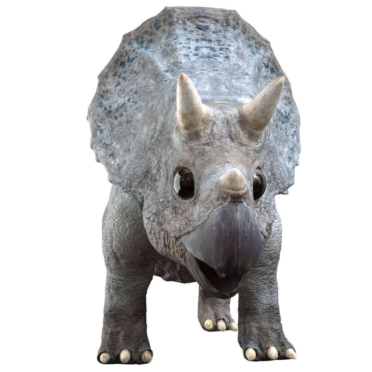 Triceratops Baby 3D Rigged model Low-poly 3D model_3