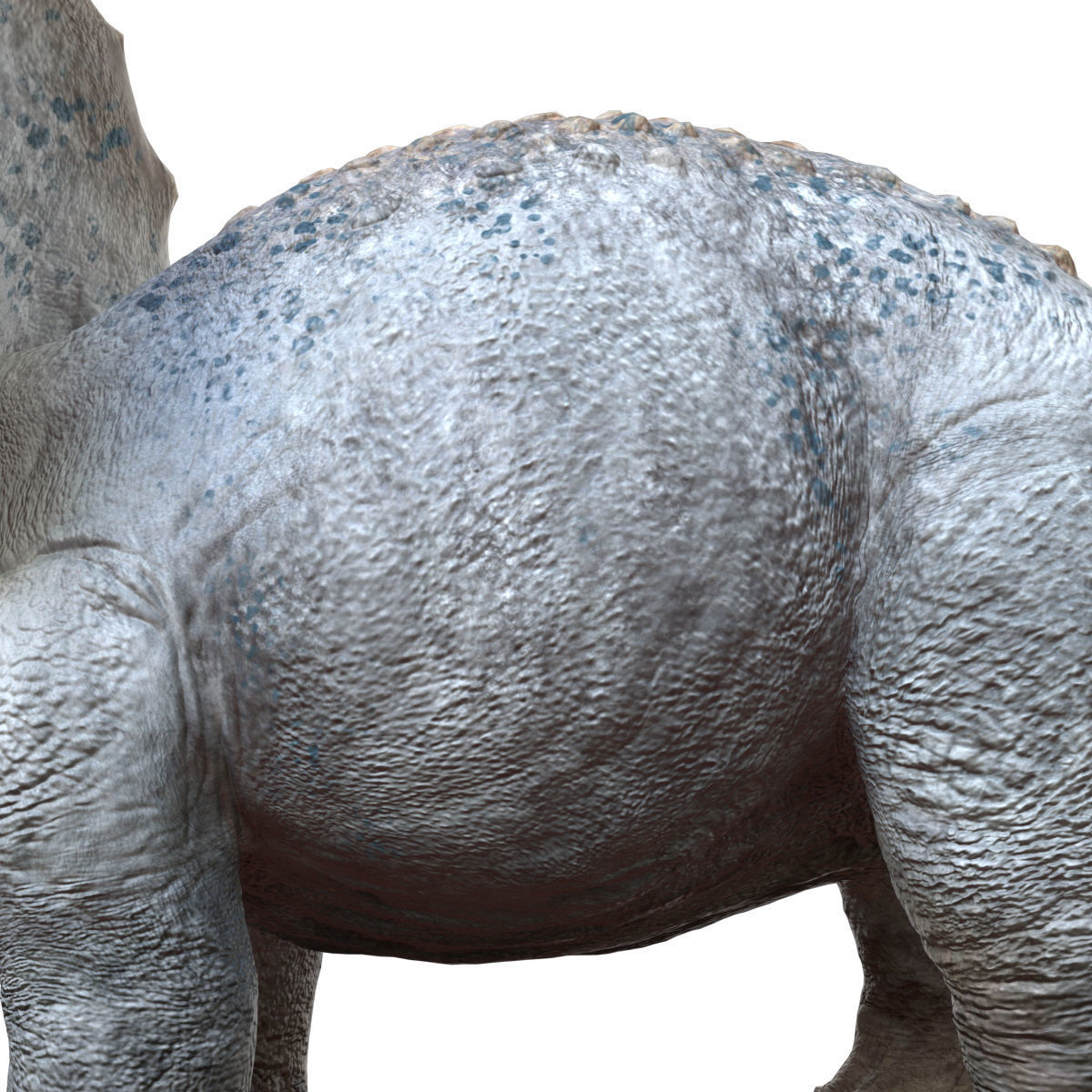 Triceratops Baby 3D Rigged model Low-poly 3D model_9