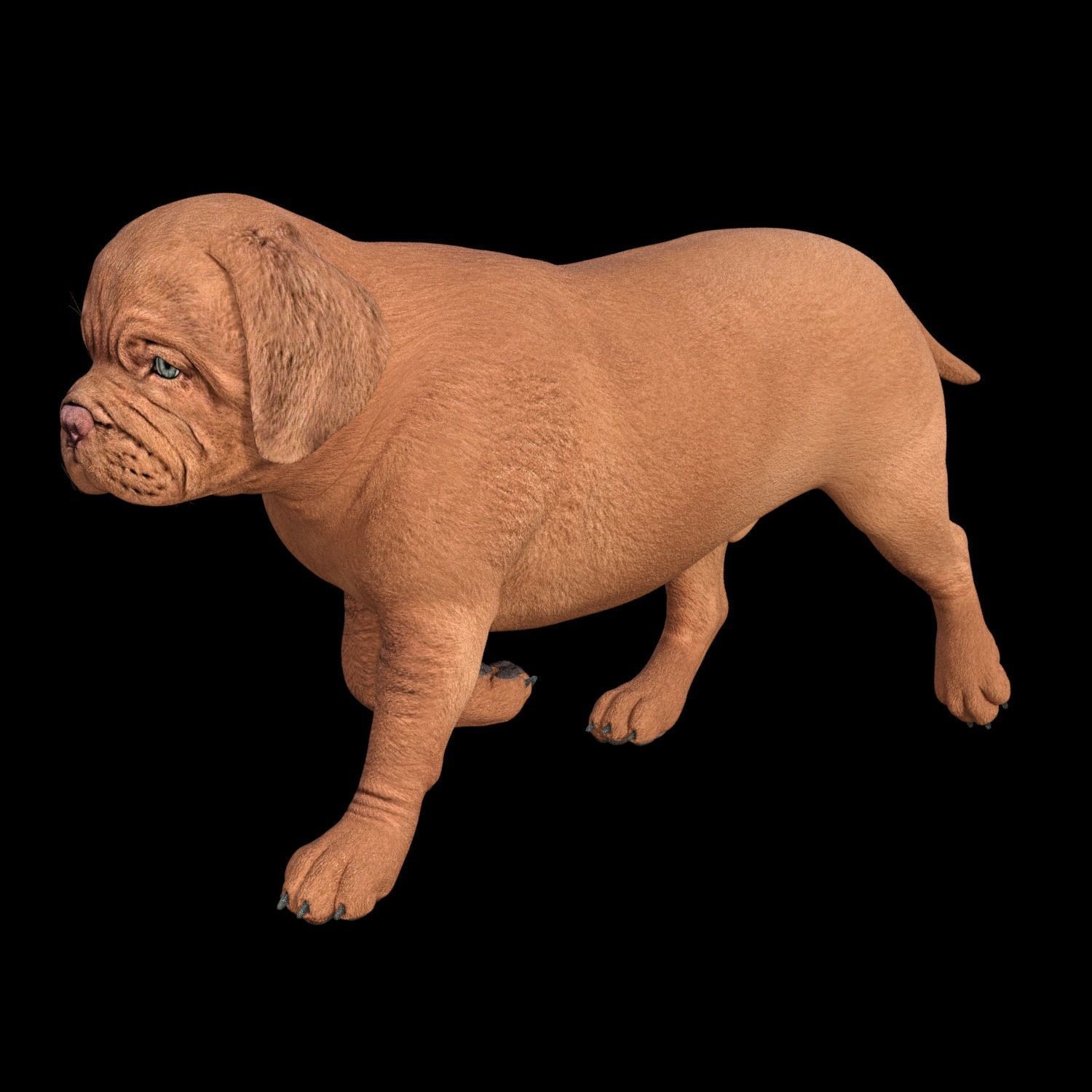 5 stand alone obj-12 3D model_4