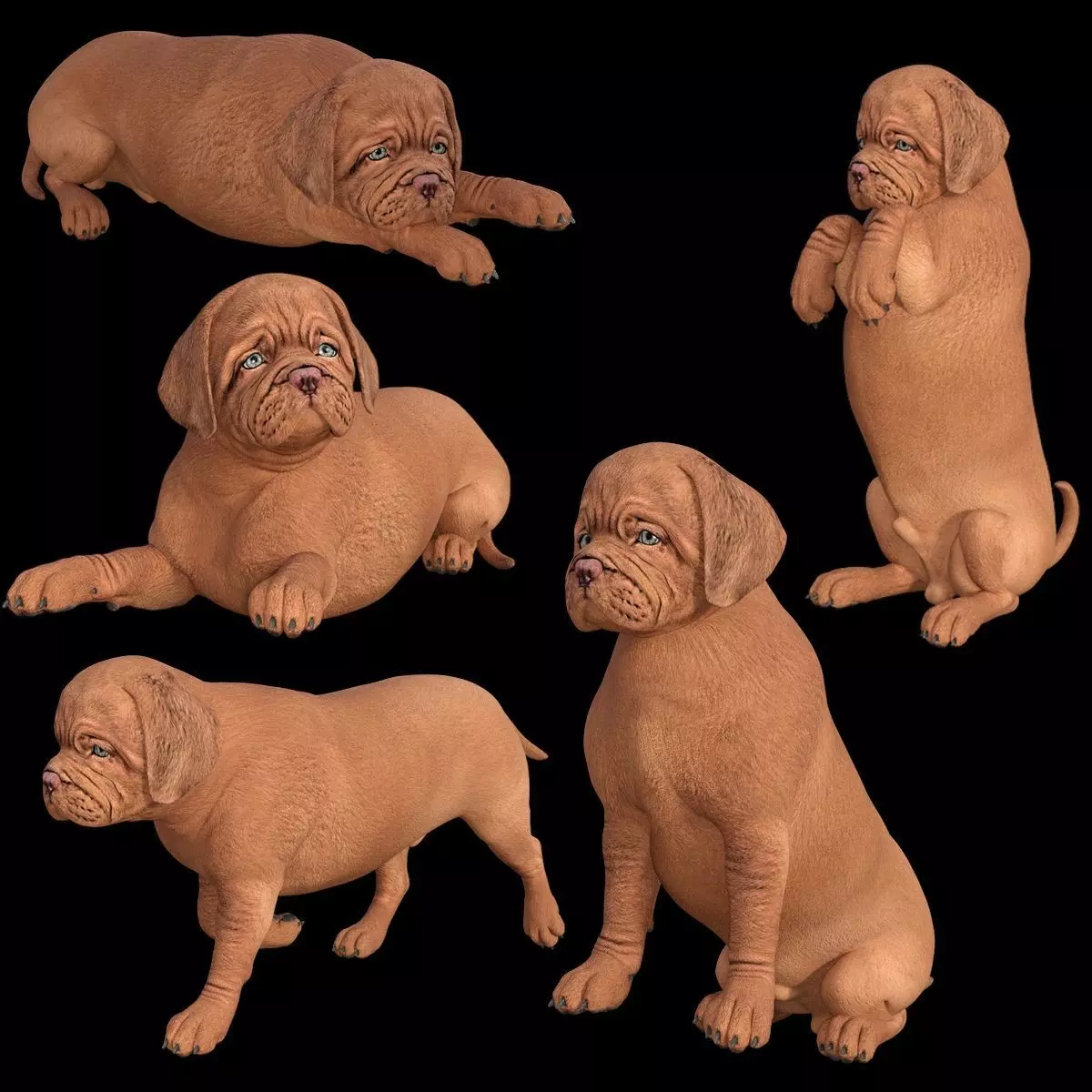 5 stand alone obj-12 3D model_0