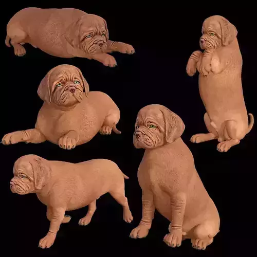 5 stand alone obj-12