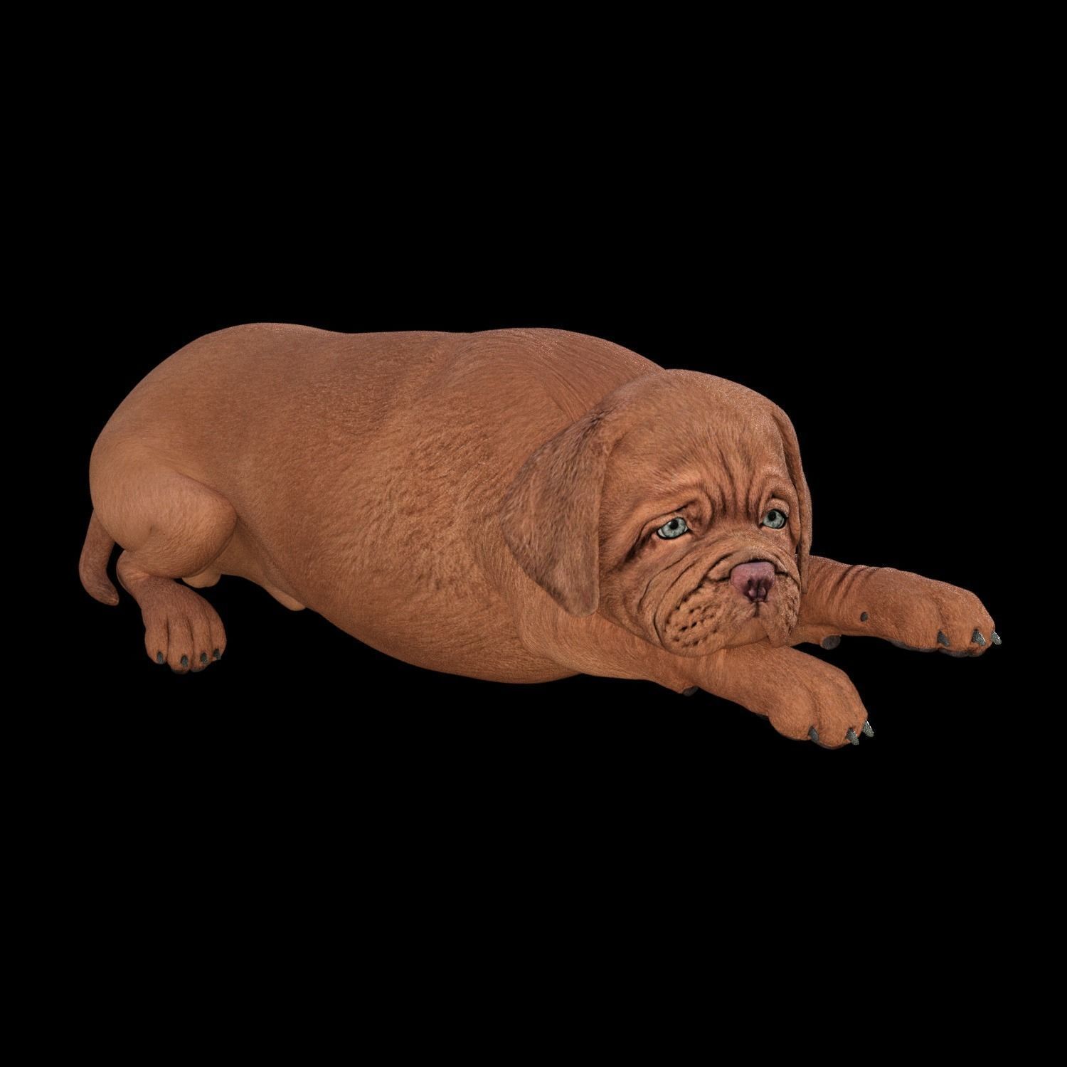 5 stand alone obj-12 3D model_3