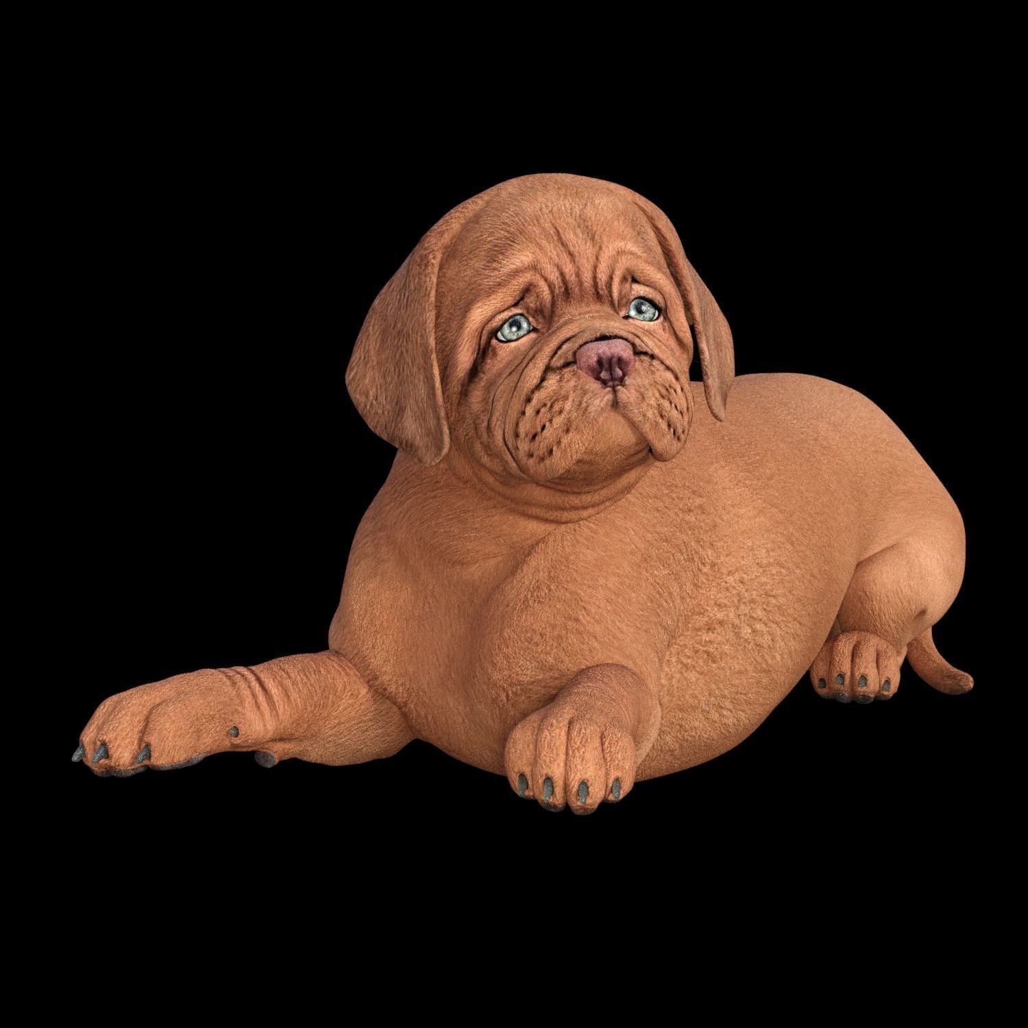 5 stand alone obj-12 3D model_2