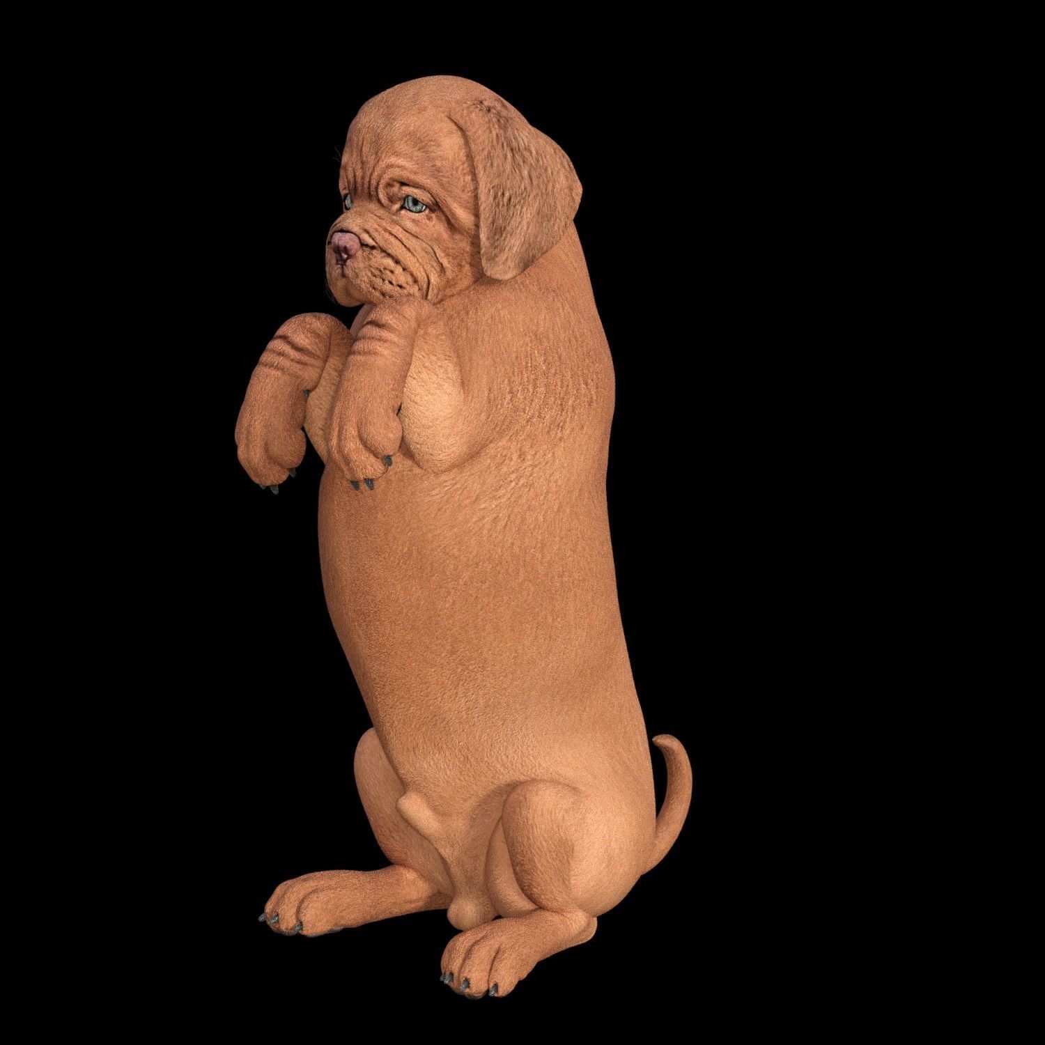 5 stand alone obj-12 3D model_5