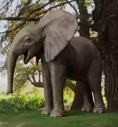 Elephant young rigged