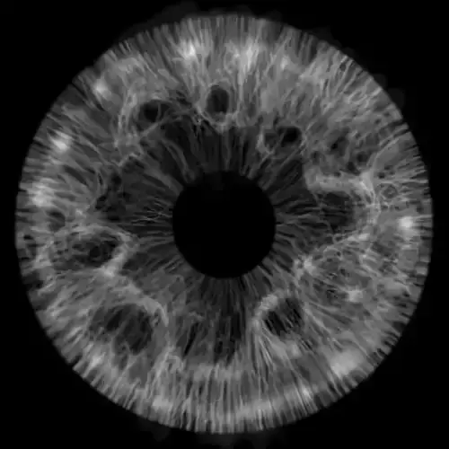 3D Eyes human eye 3D model