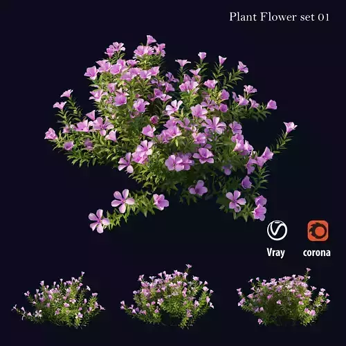 Plant Flower set 01 Low-poly 3D model
