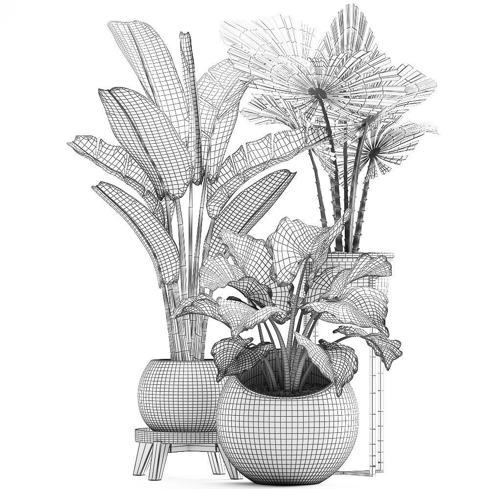 Decorative plants in flower pots for the interior 466A 3D model_6