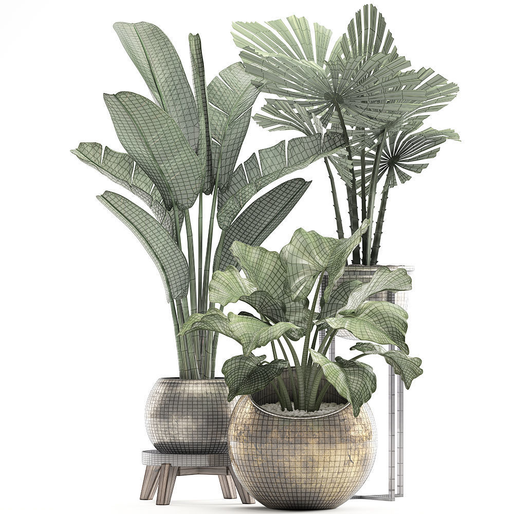 Decorative plants in flower pots for the interior 466A 3D model_5