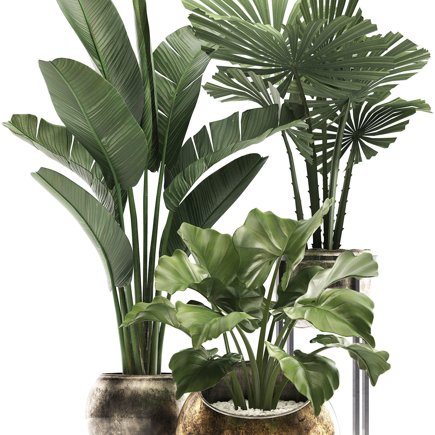 Decorative plants in flower pots for the interior 466A 3D model_2