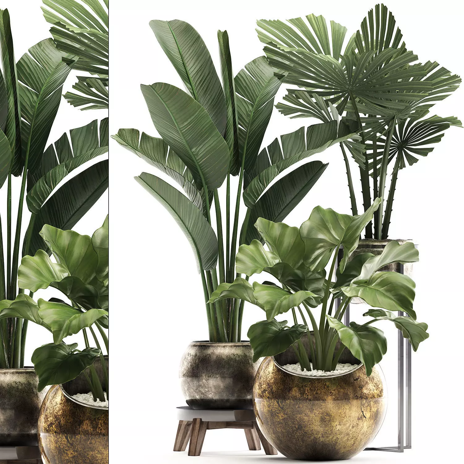 Decorative plants in flower pots for the interior 466A 3D model_0
