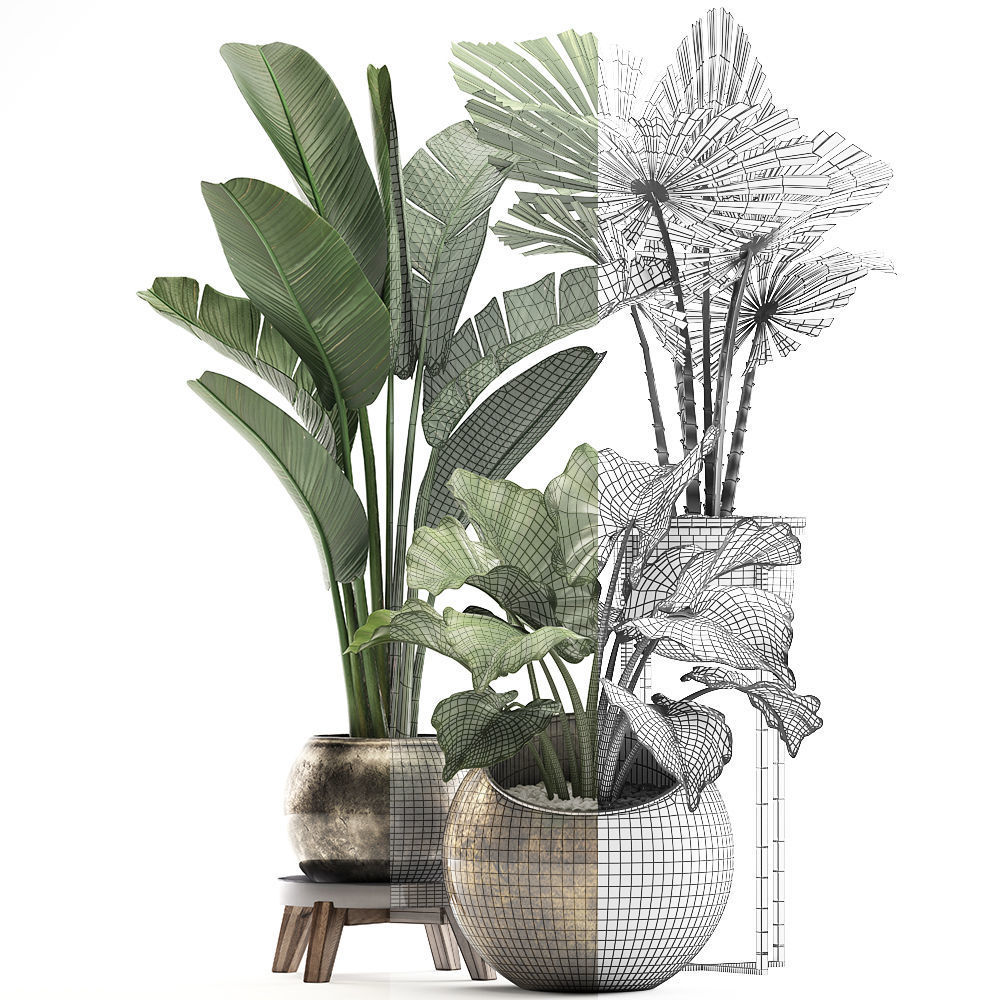 Decorative plants in flower pots for the interior 466A 3D model_4