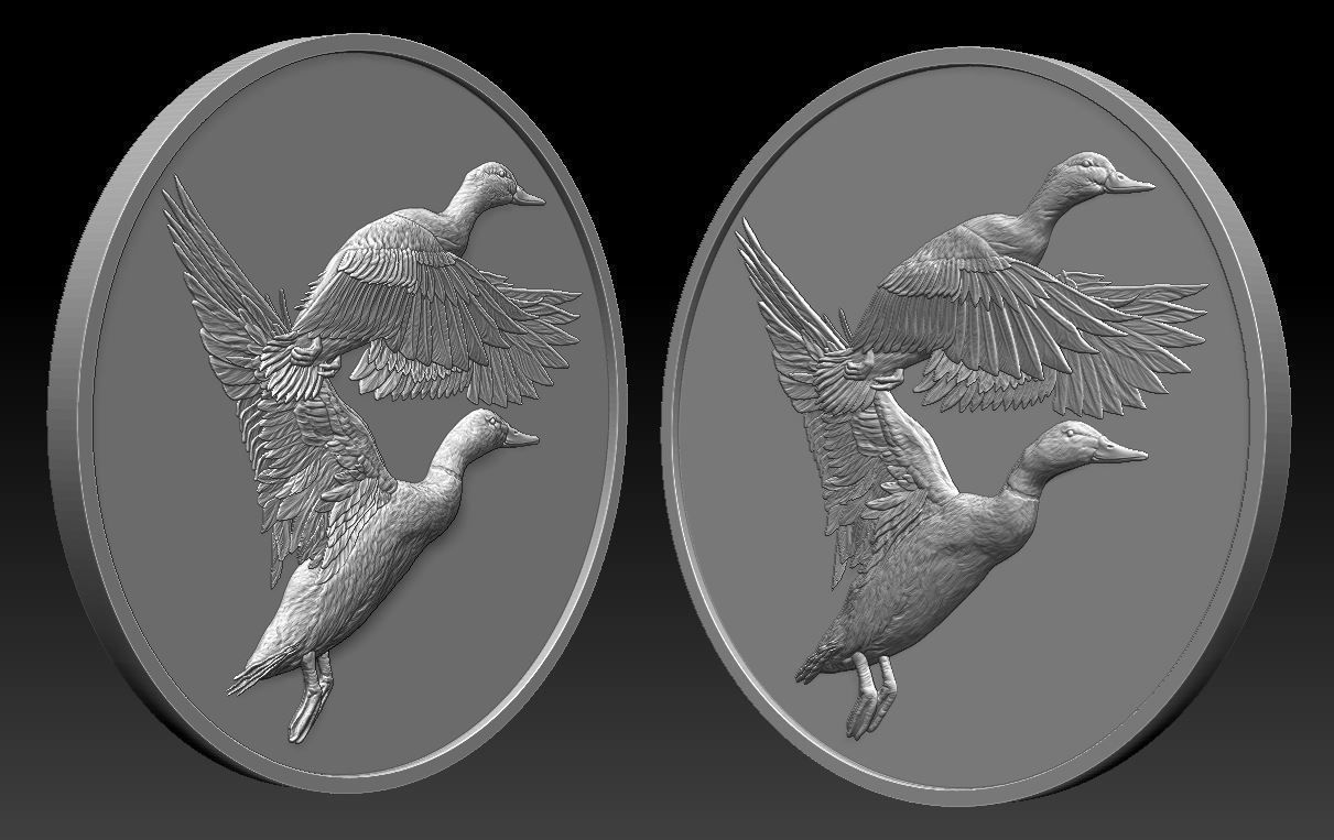 Ducks Coin - relief -2019 3D print model_3