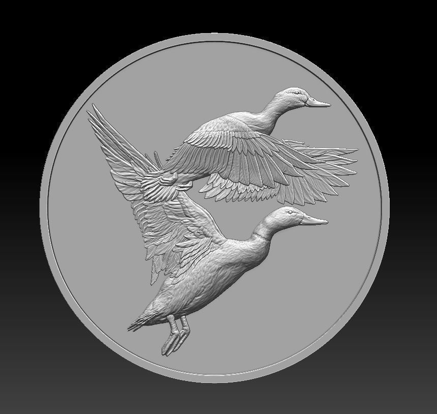 Ducks Coin - relief -2019 3D print model_2