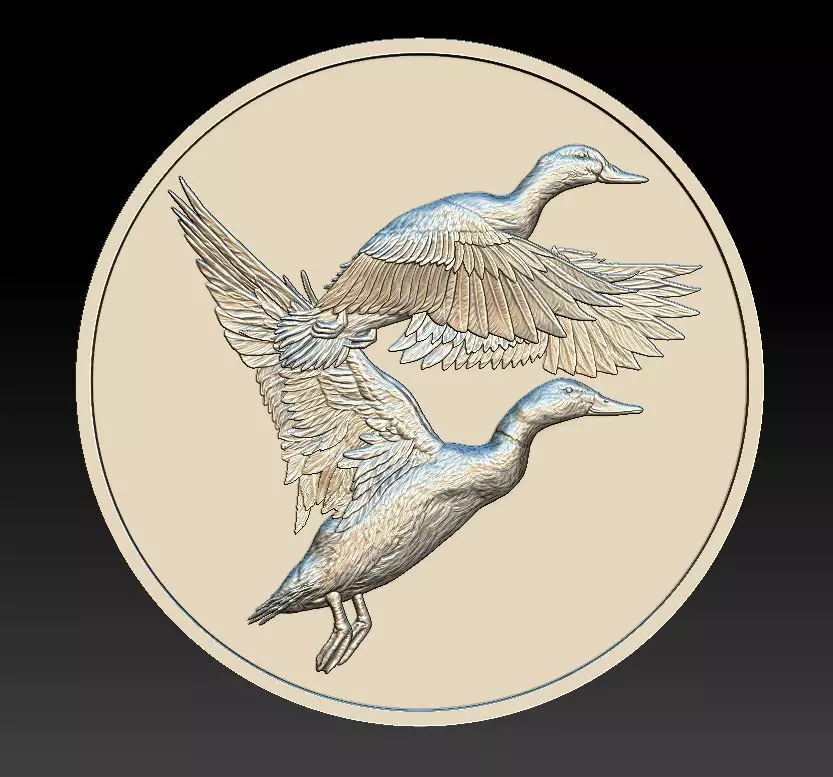 Ducks Coin - relief -2019 3D print model_0