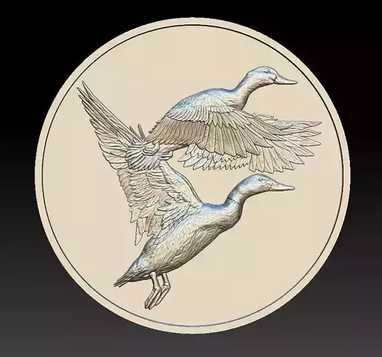 Ducks Coin - relief -2019 3D print model