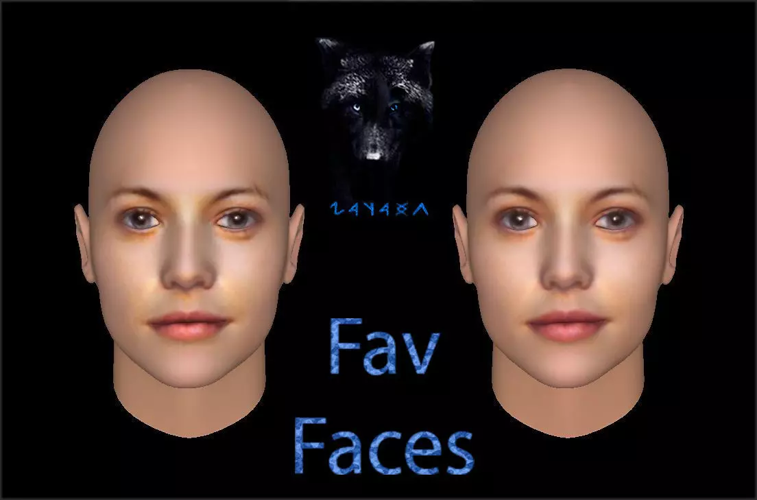 MegR FavFaces 3D model_0