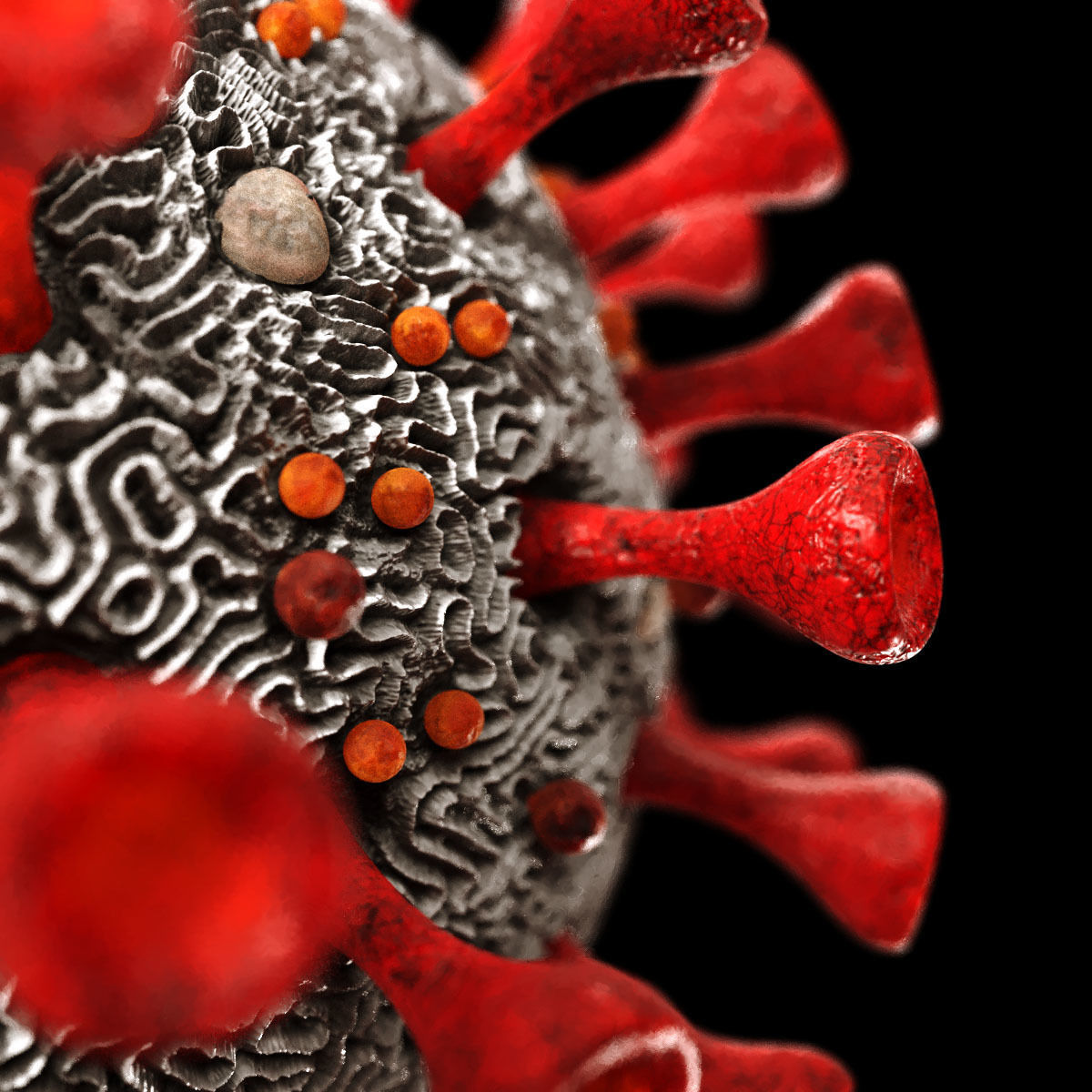 Coronavirus SARS-CoV-2 - SCENE Low-poly 3D model_2