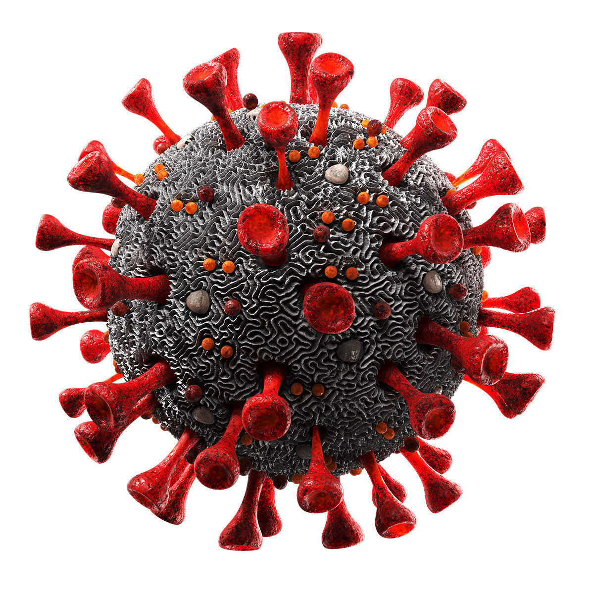 Coronavirus SARS-CoV-2 - SCENE Low-poly 3D model_4