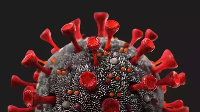 Coronavirus SARS-CoV-2 - SCENE Low-poly 3D model