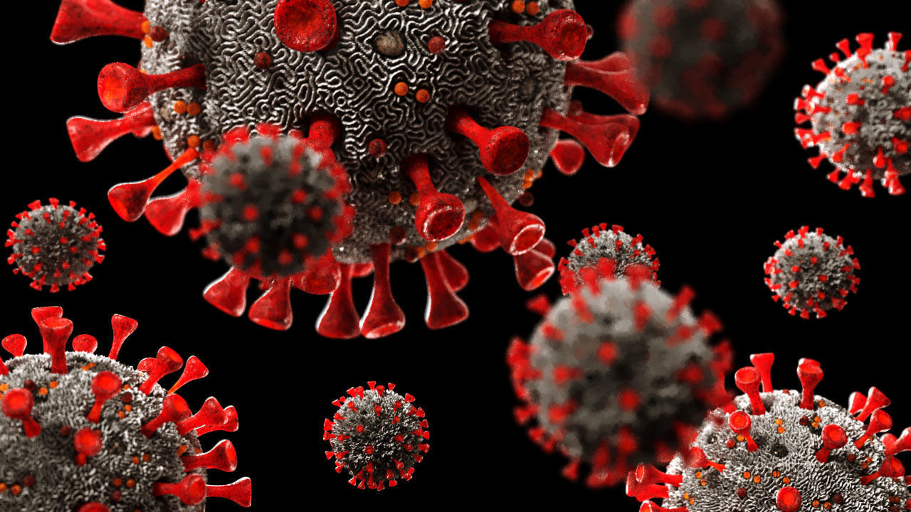 Coronavirus SARS-CoV-2 - SCENE Low-poly 3D model_1