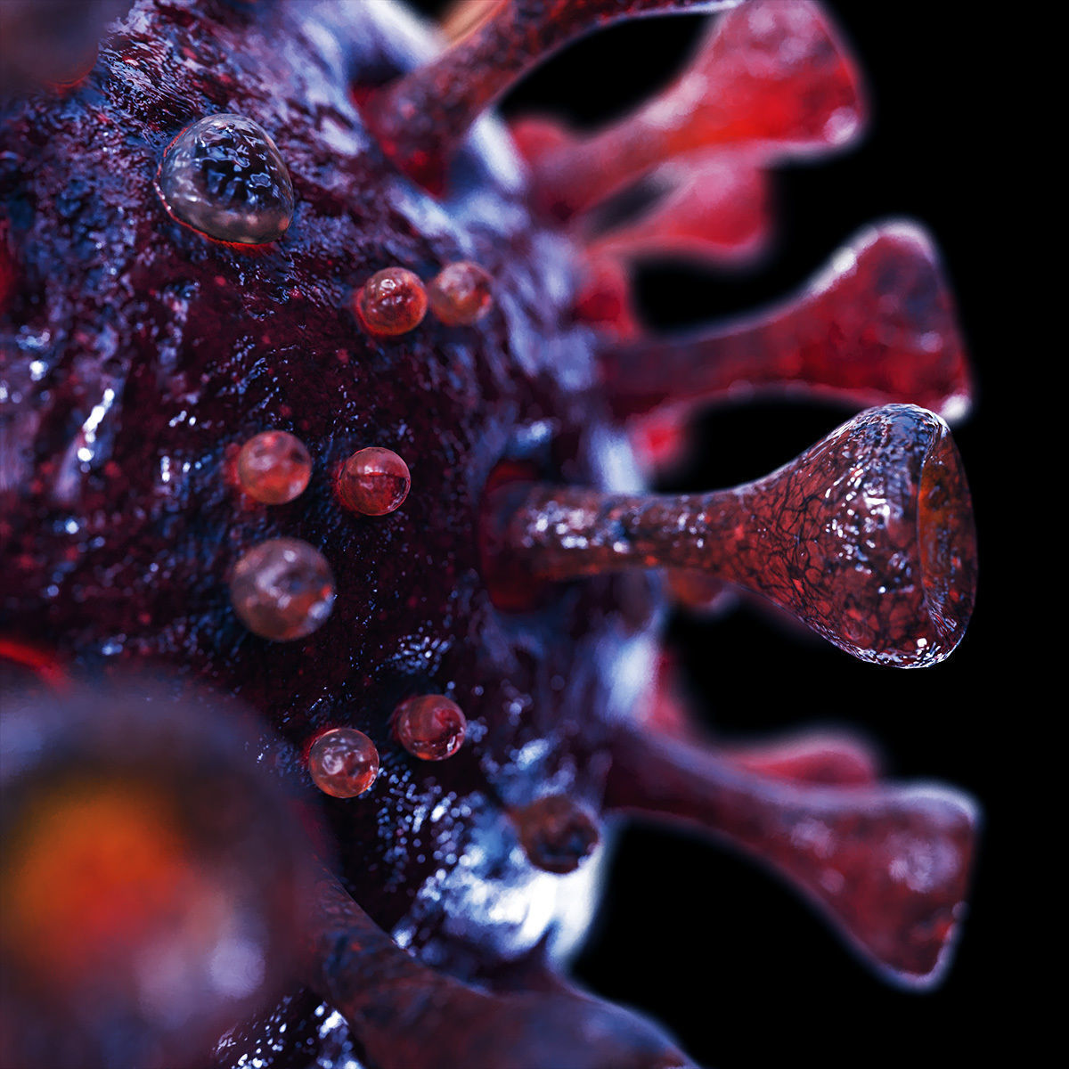 Coronavirus SARS-CoV-2 - Violet -SCENE Low-poly 3D model_2