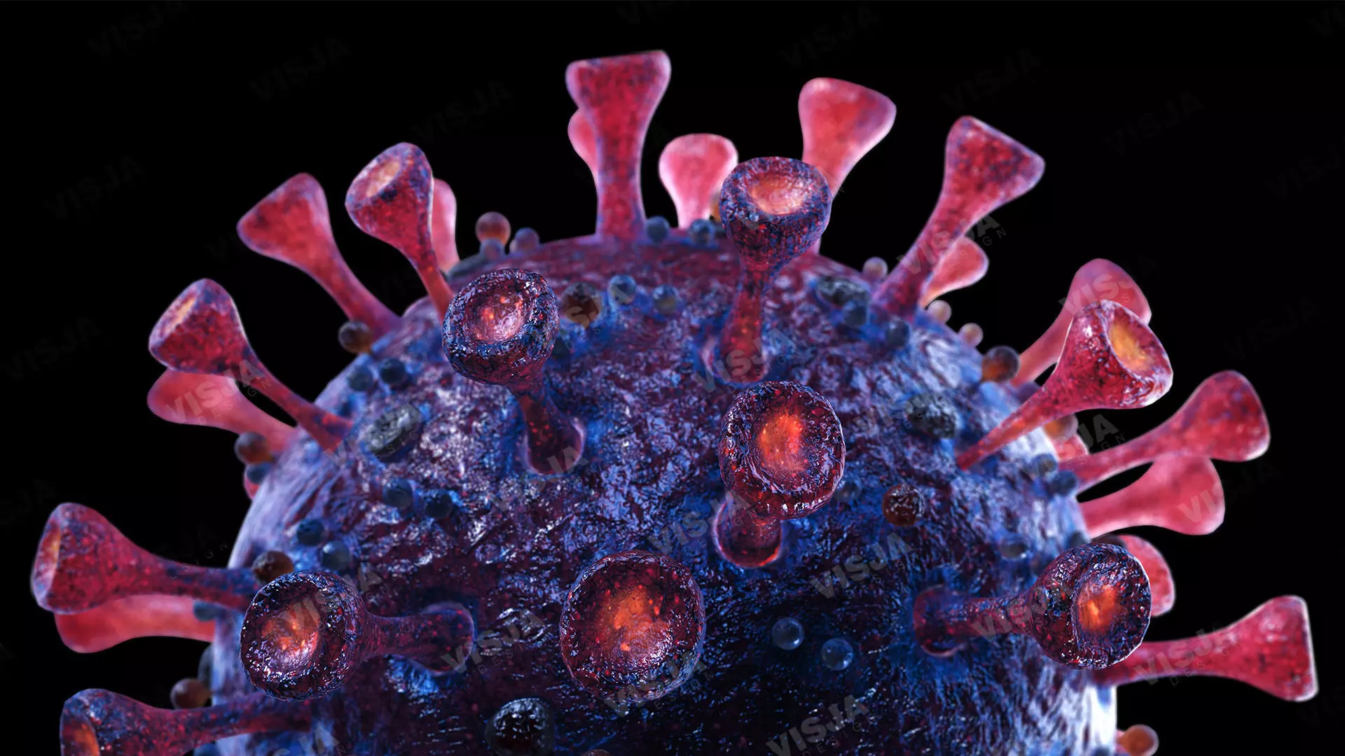 Coronavirus SARS-CoV-2 - Violet -SCENE Low-poly 3D model_0