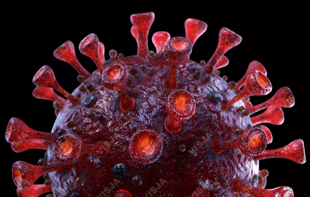 Coronavirus SARS-CoV-2 - Red - SCENE Low-poly 3D model_0