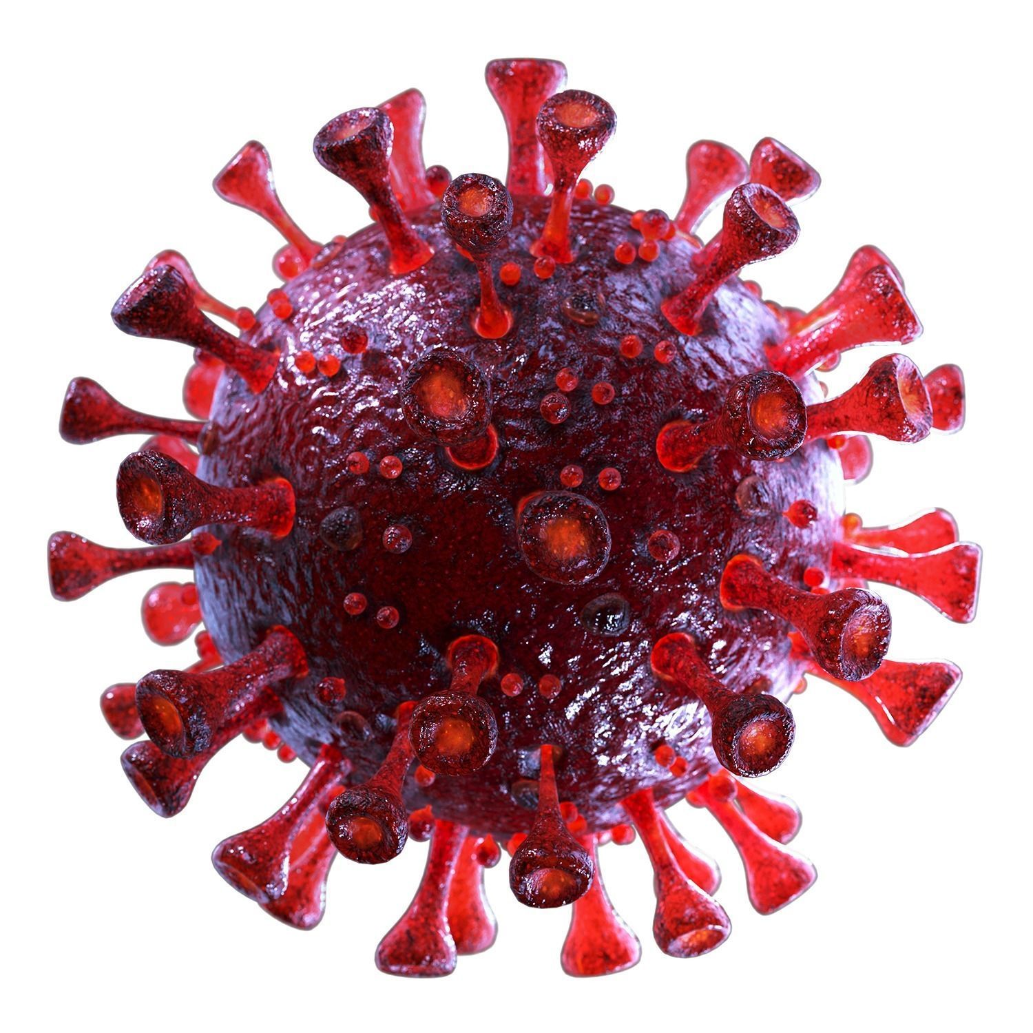 Coronavirus SARS-CoV-2 - Red - SCENE Low-poly 3D model_4