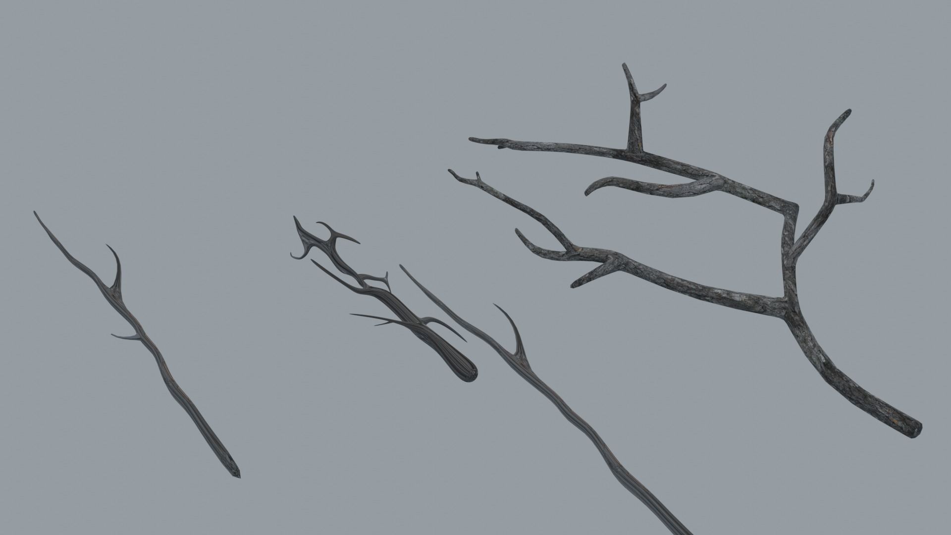 Branches three bare Low-poly 3D model_2