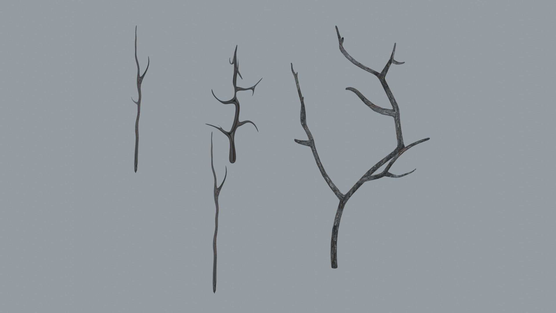 Branches three bare Low-poly 3D model_4