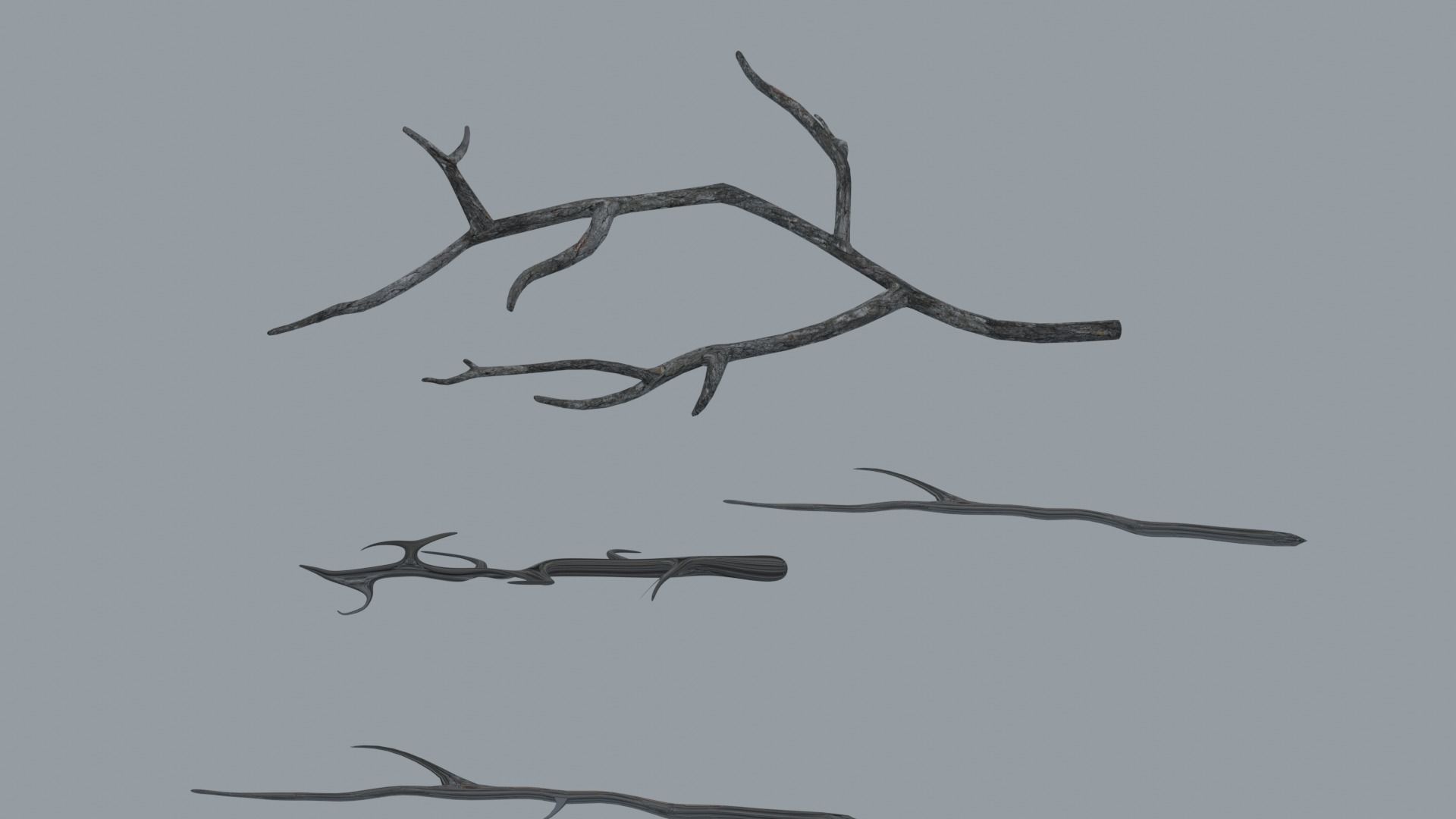 Branches three bare Low-poly 3D model_1