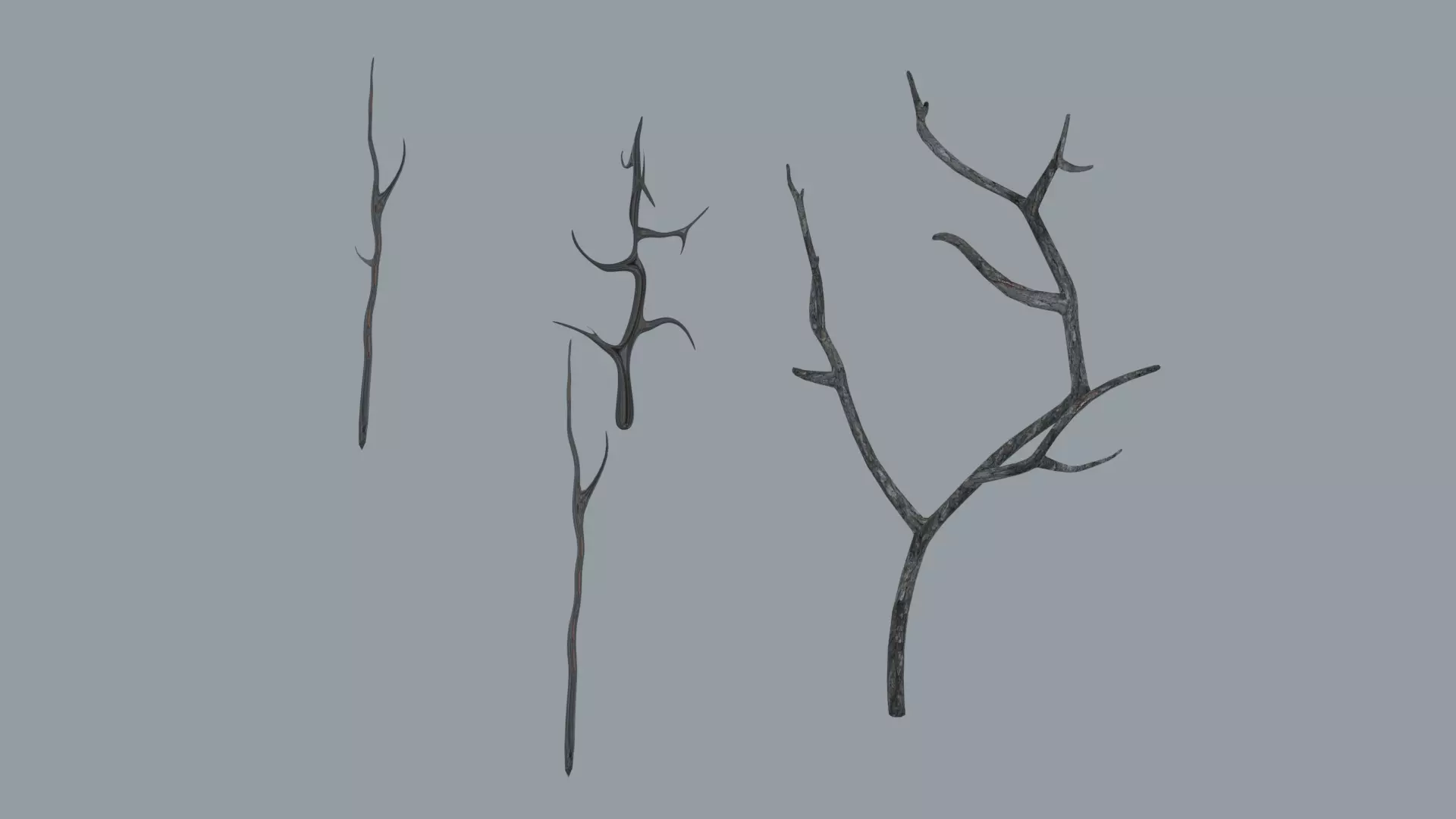 Branches three bare Low-poly 3D model_0