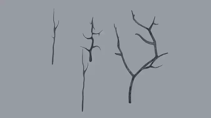 Branches three bare Low-poly 3D model