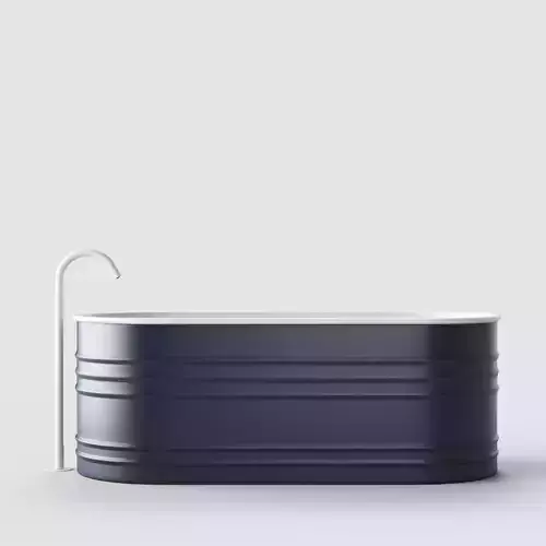 Bathtub and Faucet 001