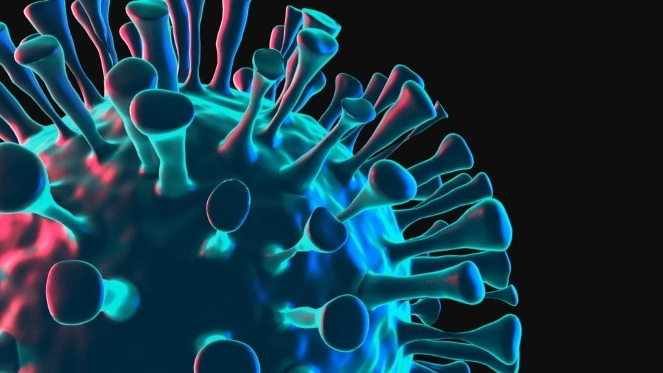 Corona Virus 3D model 3D model_1