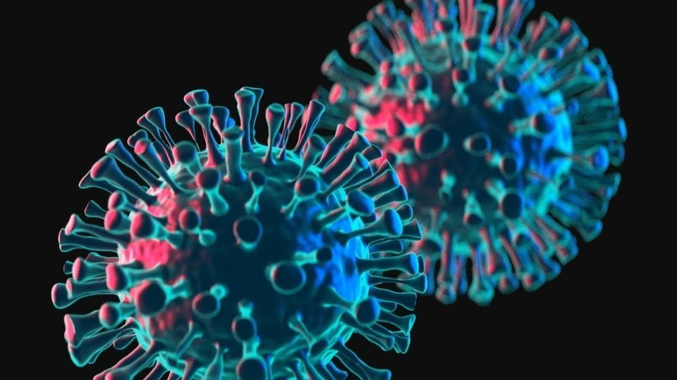 Corona Virus 3D model 3D model_3