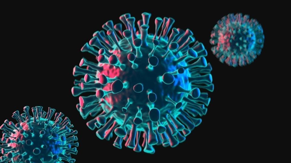 Corona Virus 3D model 3D model_2