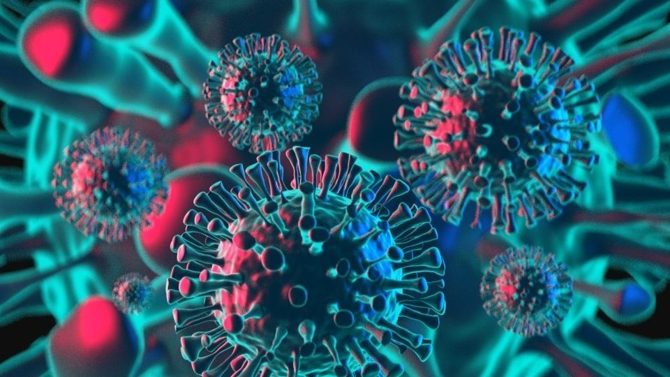 Corona Virus 3D model 3D model_5