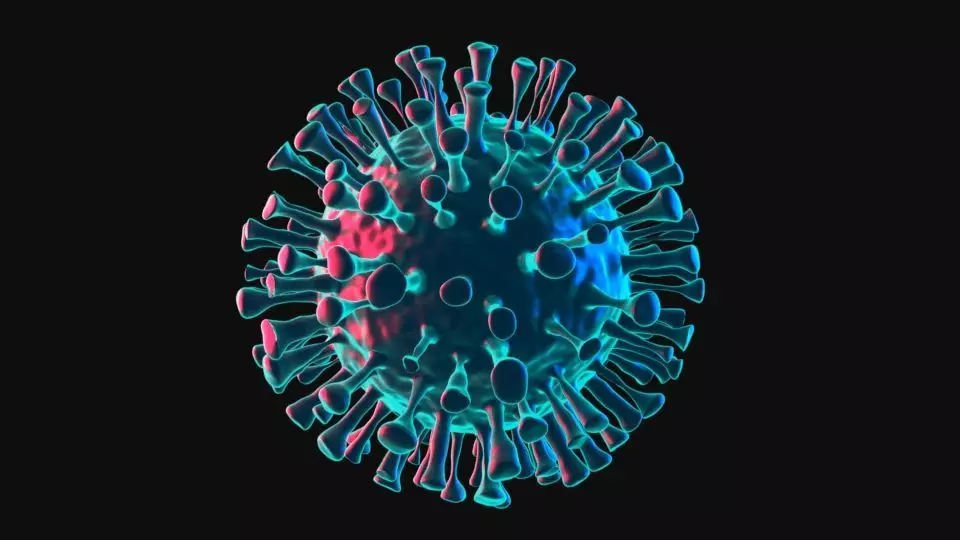 Corona Virus 3D model 3D model_0