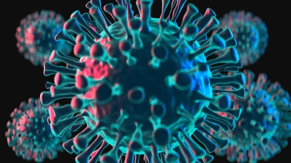 Corona Virus 3D model 3D model_4