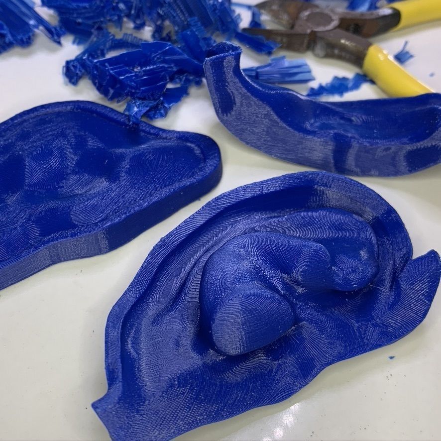 3D print mold for ear silicone prosthesis 3D print model_5