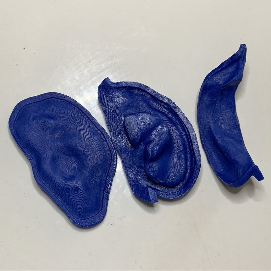 3D print mold for ear silicone prosthesis 3D print model_6