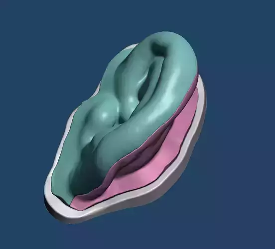 3D print mold for ear silicone prosthesis 3D print model