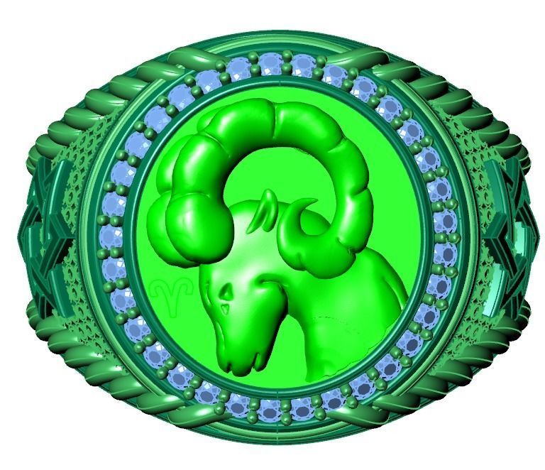 Men Zodiac Ring Set 12Signs 3DModel STL 3DM 3D print model_17